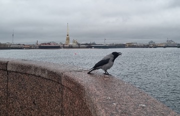 Аль Кхалес Любна 3